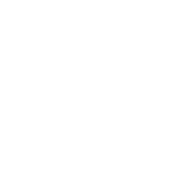 醫用拉手